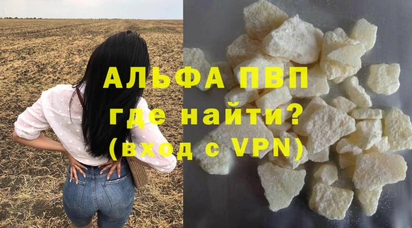 прущие грибы Абдулино