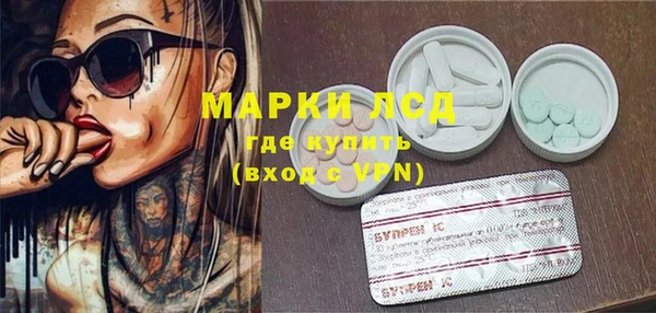 прущие грибы Абдулино